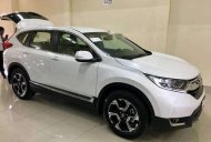 Honda CR V G 2018 - Bán ô tô Honda CR V G đời 2018, màu trắng, xe nhập giá 1 tỷ 13 tr tại Long An