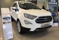 Ford EcoSport  Titanium 1.0L AT 2018 - Bán Ford EcoSport Titanium 1.0L AT, 2018, màu trắng, tặng bảo hiểm thân vỏ, hỗ trợ vay 90% giá xe, thủ tục nhanh gọn giá 689 triệu tại Lạng Sơn