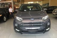 Ford Acononline Titanium 1.5L AT 2016 - Bán Ford Ecosport Titanium 1.5L AT 2016 xe cực lướt, cực mới giá 565 triệu tại Hà Giang