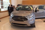 Ford EcoSport 2018 - Bán Ecosport 2018, trả góp với 150tr giao xe tại Hà Giang, chạy số, KM tặng phụ kiện LH: 0989.022.295 giá 545 triệu tại Hà Giang