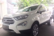 Ford EcoSport 2018 - Bán xe Ecosport gia ngay giá thấp nhất thị trường, ưu đãi ngân hàng giá 625 triệu tại Hưng Yên