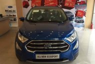 Ford EcoSport Titanium 2018 - Bán Ford Ecosport giá hot đẹp cuối năm giá 630 triệu tại An Giang