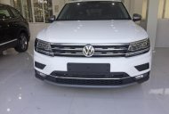 Volkswagen Tiguan Allspace 2018 - Bán xe Volkswagen Tiguan Allspace nhập khẩu nguyên chiếc giá 1 tỷ 699 tr tại Hải Phòng
