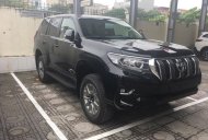 Toyota Prado 2018 - Toyota Giải Phóng- Bán xe Toyota Prado 2018, nhập khẩu nguyên chiếc, màu đen, hỗ trợ trả góp, LH 0973.160.519 giá 2 tỷ 340 tr tại Hà Nội