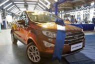 Ford EcoSport   1.0 AT  2018 - Bán Ford EcoSport 1.0 AT sản xuất năm 2018, màu cam
 giá 505 triệu tại Bình Dương