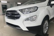 Ford EcoSport Titanium 2018 - Bán Ford EcoSport Titanium Ecoboost sản xuất 2018, nhập khẩu nguyên chiếc, giá 660tr LH 0989022295 tại Bắc Giang giá 610 triệu tại Bắc Giang