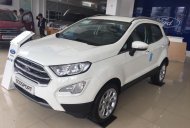 Ford EcoSport Titanium 1.0 2018 - Cần bán xe Ford EcoSport Titanium 1.0 đời 2018, màu trắng, 660 triệu. LH 0987987588 giá 660 triệu tại Bắc Kạn