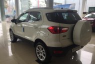 Ford EcoSport Titanium 1.0 2018 - Bán Ford Ecosport 1.0L AT 2018 tại Cao Bằng, khuyến mãi lớn, đủ màu, hỗ trợ vay 80%. L/h: 0989022295 giá 660 triệu tại Cao Bằng