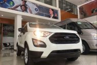 Ford EcoSport 2018 - Bán Ford EcoSport sản xuất 2018, màu trắng giá 620 triệu tại Lâm Đồng