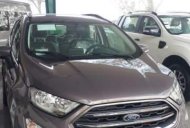 Ford EcoSport  Titanium 2018 - Bán xe Ford EcoSport Titanium đời 2018, màu nâu, giá tốt giá 648 triệu tại Lâm Đồng