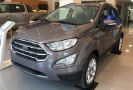 Ford EcoSport 2018 - Bán Ford Ecosport giá chỉ từ 545 triệu + gói KM phụ kiện hấp dẫn, Mr Nam 0934224438 - 0963468416 giá 545 triệu tại Hải Phòng