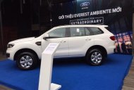 Ford Everest 2018 - Bán Ford Everest Ambient 2019 nhập khẩu chỉ từ 999 triệu và gói phụ kiện hấp dẫn, Mr Nam 0934224438 - 0963468416 giá 999 triệu tại Hải Phòng