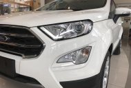 Ford EcoSport 2018 - Bán Ford Ecosport giá chỉ từ 545 triệu + gói KM phụ kiện hấp dẫn, Mr Nam 0934224438 - 0963468416B giá 545 triệu tại Hải Dương
