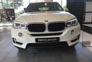 BMW X5 2018 - Bán xe BMW X5 giá tốt, giao xe ngay, hỗ trợ trả góp giá 3 tỷ 599 tr tại Tp.HCM
