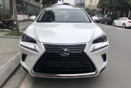 Lexus NX 2018 - Bán Lexus NX300 sản xuất 2018 màu trắng, giao ngay giá 2 tỷ 510 tr tại Hà Nội
