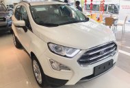 Ford EcoSport Ecoboost 1.0L 2018 - Bán xe Ford Ecosport Ecoboost 1.0L, khuyến mãi khủng cuối năm giá 645 triệu tại Bình Dương