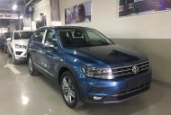 Volkswagen Tiguan 2018 - Bán Volkswagen Tiguan sản xuất năm 2018, màu xanh lam, xe nhập khẩu nguyên chiếc giá 1 tỷ 729 tr tại Lâm Đồng