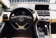 Lexus NX 300 2017 - Cần bán Lexus NX300 2018, nhập khẩu nguyên chiếc giá 2 tỷ 555 tr tại Tp.HCM
