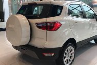 Ford EcoSport 1.5L Titanium   2018 - Đại lý Ford Thái Nguyên bán xe Ford Ecosport 1.5L Titanium 2018 giá 610 triệu tại Thái Nguyên
