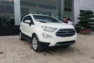 Ford EcoSport Titanium 1.5L AT 2018 - Bán ô tô Ford EcoSport Titanium 1.5L AT đời 2018, màu trắng, mới 100% giá 648 triệu tại Thanh Hóa