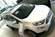 Ford EcoSport Titanium 1.5L 2019 - Bán Ford EcoSport Titanium 1.5L đời 2019, màu trắng, giá sốc cuối năm giá 590 triệu tại Vĩnh Long