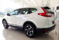 Honda CR V 2019 - Cần bán Honda CR V sản xuất 2019, nhập khẩu nguyên chiếc, giá tốt giá 1 tỷ 93 tr tại Cần Thơ