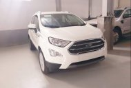 Ford EcoSport   2019 - Bán xe Ford EcoSport năm sản xuất 2019, màu trắng, giá tốt giá 545 triệu tại Hải Phòng