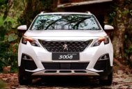 Peugeot 3008   2019 - Bán Peugeot 3008 hoàn toàn mới, khách hàng sẽ có những trải nghiệm tuyệt vời giá 1 tỷ 199 tr tại Phú Thọ