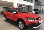 Volkswagen Polo 2019 - Cần bán xe Volkswagen cross Polo đời 2018, màu đỏ, giá tốt giá 725 triệu tại Tp.HCM