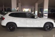 BMW X1 2010 - Bán xe BMW X1 đời 2010, màu trắng giá 615 triệu tại Đồng Nai