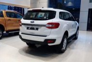 Ford Everest  Ambient 2018 - Bán Ford Everest Ambient sản xuất 2018, màu trắng, nhập khẩu nguyên chiếc, 999tr giá 999 triệu tại Hải Phòng