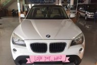BMW X1   2010 - Cần bán BMW X1 2010, màu trắng, nhập khẩu giá 590 triệu tại Đồng Nai