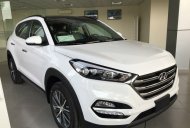 Hyundai Tucson 2019 - Bán Hyundai Tucson sản xuất 2019, màu trắng, 760 triệu giá 760 triệu tại Gia Lai