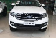 Ford Everest Ambiente 2019 - Bán xe Ford Everest Ambiente 2019, màu trắng, nhập khẩu   giá 1 tỷ 52 tr tại Nghệ An