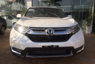 Honda CR V L 2019 - Bán xe Honda CR V L 2019, màu trắng, nhập khẩu, 7 chỗ ngồi giá 1 tỷ 93 tr tại Đồng Tháp