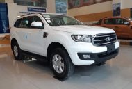 Ford Everest   2019 - Bán ô tô Ford Everest sản xuất 2019, màu trắng, xe nhập giá 999 triệu tại Nam Định