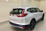 Honda CR V G 2019 - Cần bán Honda CR V G năm 2019, màu trắng, nhập khẩu giá 1 tỷ 13 tr tại Long An