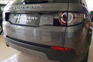 LandRover Discovery Sport SE 2019 - Bán ô tô LandRover Discovery Sport SE đời 2019, màu xám, xe có sẵn giao ngay giá 2 tỷ 699 tr tại Tp.HCM