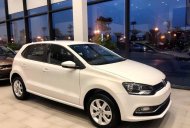 Volkswagen Polo 2019 - Volkswagen Polo Hacthback 2019 – đủ màu giao ngay giá 695 triệu tại Tp.HCM