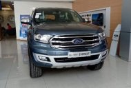 Ford Everest  Titanium 2019 - Bán Ford Everest Titanium sản xuất năm 2019, nhập khẩu giá 1 tỷ 177 tr tại Hải Phòng