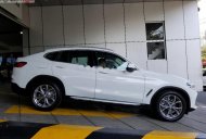 BMW X4 xDrive20i 2018 - Bán xe BMW X4 xDrive20i sản xuất năm 2018, màu trắng, nhập khẩu, mới 100% giá 2 tỷ 959 tr tại Bình Dương