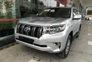 Toyota Prado VX 2019 - Cần bán Toyota Prado VX 2019, màu bạc, nhập khẩu giá 2 tỷ 340 tr tại Hà Nội