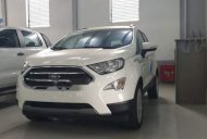 Ford EcoSport   2019 - Cần bán Ford EcoSport năm 2019, màu trắng giá 395 triệu tại Hải Phòng