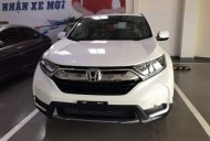 Honda CR V   L  2019 - Bán Honda CRV đủ màu giao ngay một nốt nhạc giá 1 tỷ 93 tr tại Bình Dương