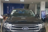 Ford Everest 2019 - Bán ô tô Ford Everest đời 2019, xe nhập, 999tr giá 999 triệu tại Vĩnh Phúc