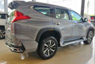 Mitsubishi Pajero 2019 - Cần bán xe Mitsubishi Pajero đời 2019, nhập khẩu  giá 980 triệu tại Cần Thơ