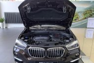 BMW X1 2019 - Cần bán xe BMW X1 đời 2019, màu nâu, xe nhập giá 1 tỷ 829 tr tại Đà Nẵng