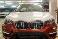 BMW X1 sDrive18i 2018 - Bán BMW X1 tại Đà Nẵng - Xe chưa đăng ký giá 1 tỷ 859 tr tại Đà Nẵng