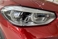BMW X4 xDrive20i 2019 - Bán ô tô BMW X4 xDrive20i sản xuất 2019, màu đỏ, nhập khẩu giá 1 tỷ 619 tr tại Tp.HCM