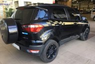 Ford EcoSport   2016 - Cần bán gấp Ford EcoSport đời 2016, màu đen, xe nhập, full option giá 490 triệu tại Đồng Tháp